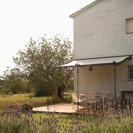 Masia Bartomeu Rural House Between Vineyards 2Km From The Beach El Vendrell Exteriér fotografie