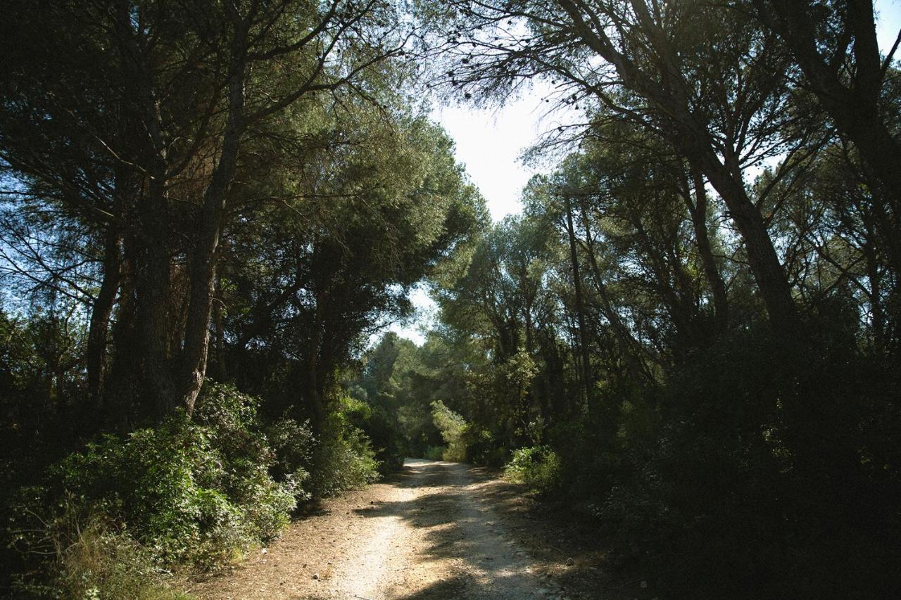 Masia Bartomeu Rural House Between Vineyards 2Km From The Beach El Vendrell Exteriér fotografie