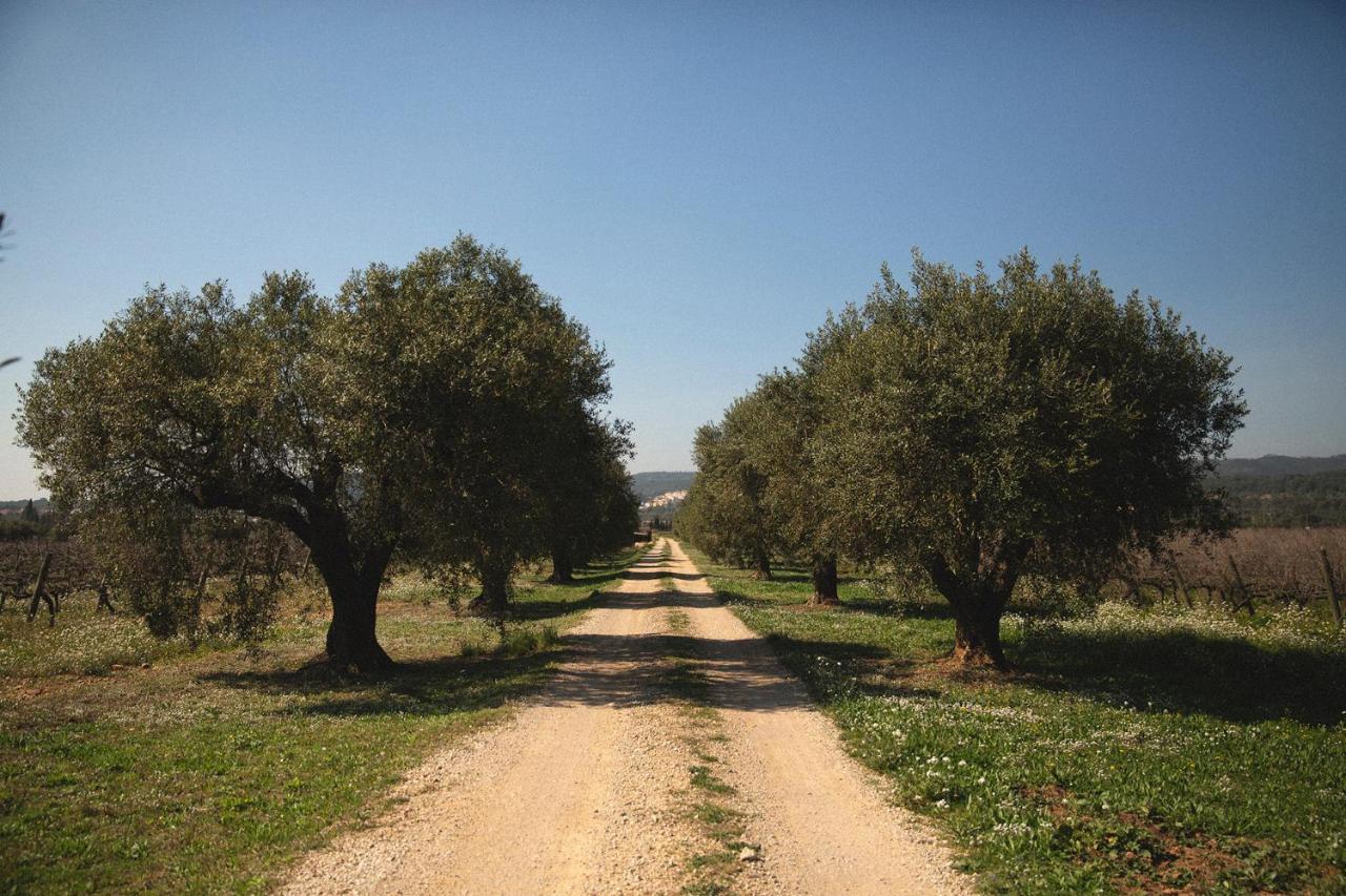 Masia Bartomeu Rural House Between Vineyards 2Km From The Beach El Vendrell Exteriér fotografie