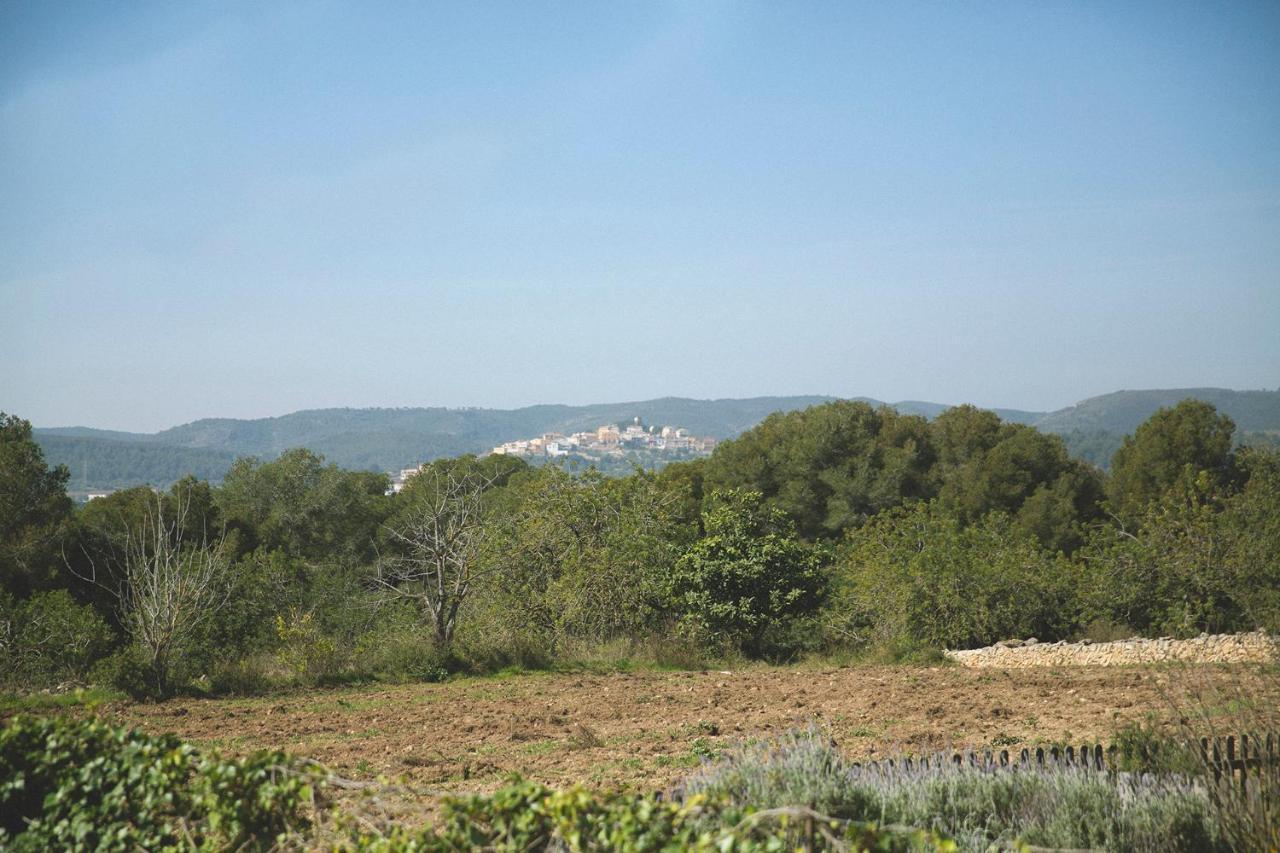 Masia Bartomeu Rural House Between Vineyards 2Km From The Beach El Vendrell Exteriér fotografie