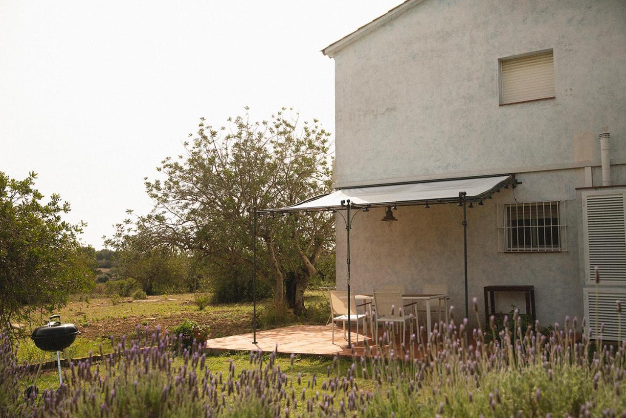 Masia Bartomeu Rural House Between Vineyards 2Km From The Beach El Vendrell Exteriér fotografie