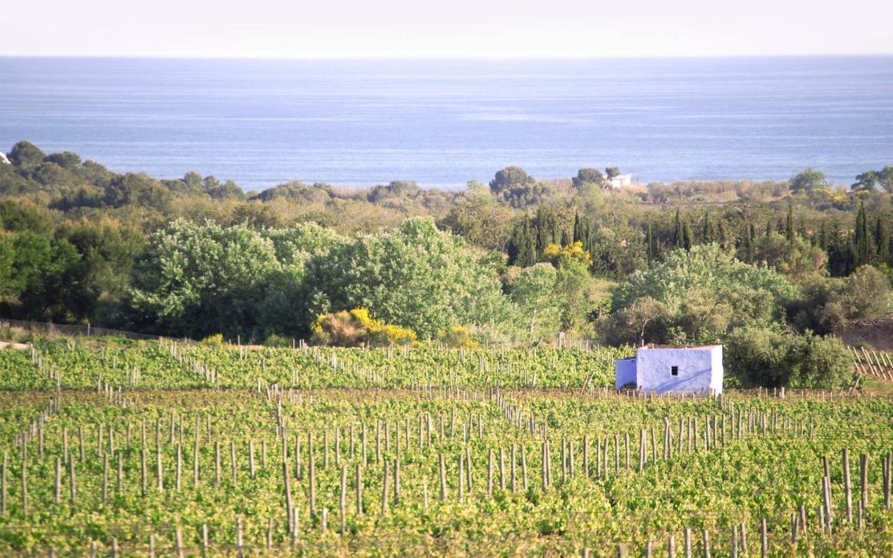 Masia Bartomeu Rural House Between Vineyards 2Km From The Beach El Vendrell Exteriér fotografie